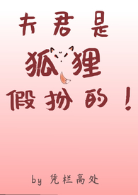 Ǻٰģ1v2
