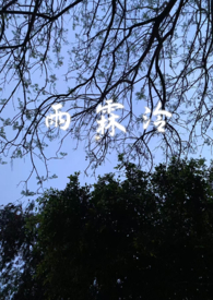 scǿưǰ